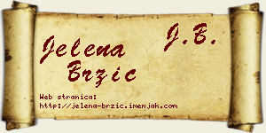 Jelena Brzić vizit kartica